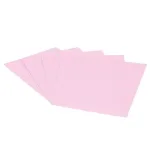 Cleanroom Paper - Pink Singles