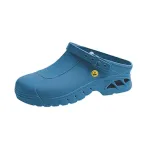 Autoclavable clogs blue